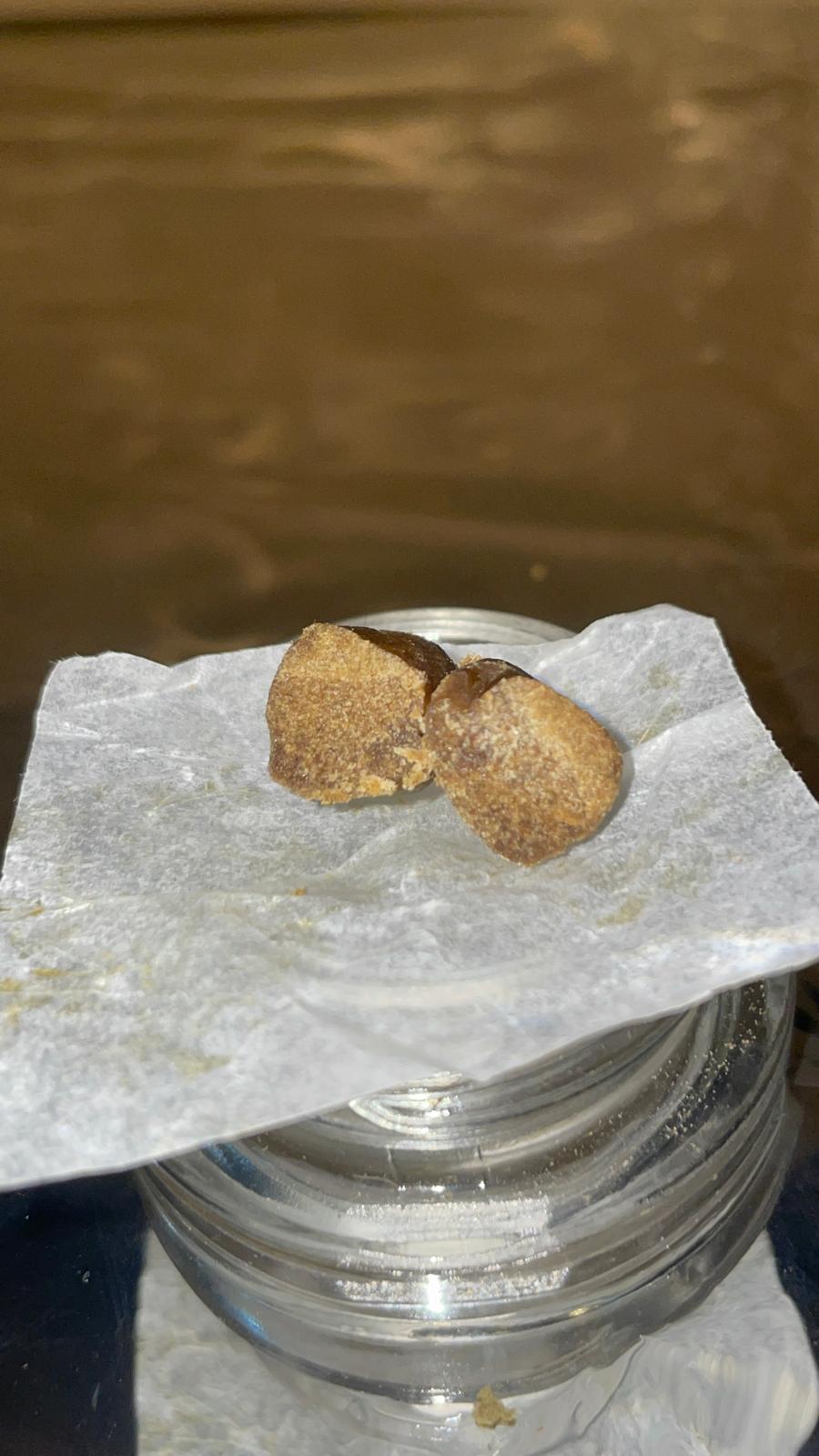 Gelato #41